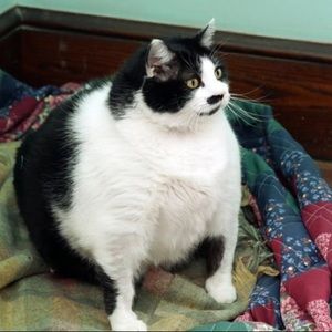 Meet your Posher, Jared